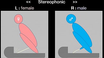 The Difference of peeing sound between men and women